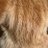 wjw555777's profile image