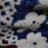 wy44ua's profile image