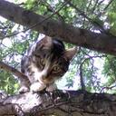 Sandra Levesque - @DarrenluvsSandy - Twitter