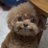 RBeat15's profile image