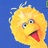 bigbird