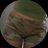 herbsdale's profile image