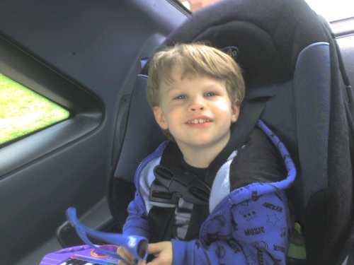 SharonT8175's profile picture. 