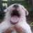 rlwjfgk's profile image