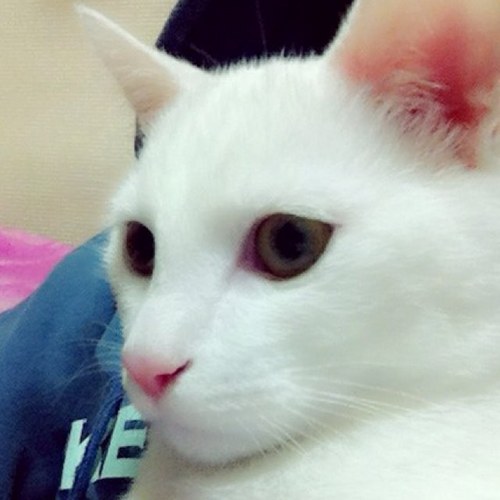 kirakira_jj's profile picture. 배운다는건 꿈을 꾸는 것, 가르친다는건 희망을 노래하는 것. 꿈꾸는 예비교사♪