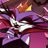 TheeLibraAsh's profile image