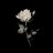 3u_gumi's profile image