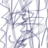 argutulus's profile image