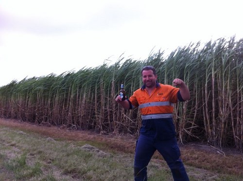 steaca's profile picture. 