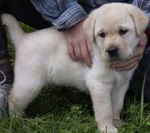 Anita_Missy's profile picture. 