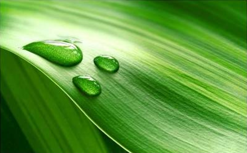 designyuno's profile picture. http://t.co/3xDVIAn9