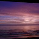 Ima Liar - @JustinOldGuy - Twitter