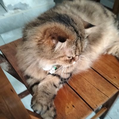 SpyYo_01's profile image