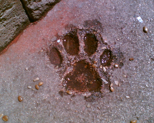 fonsdix's profile picture. 