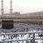 Amal_AlGifari's profile image
