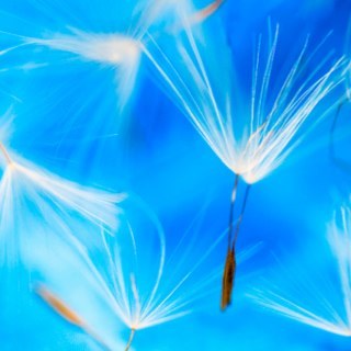 djnikas's profile picture. Luxury residences for rent in Kallithea , Chalkidiki , Greece