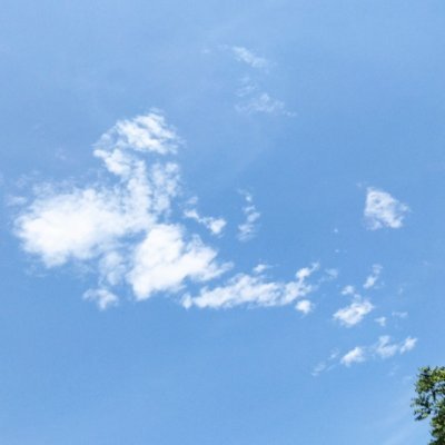 La gente que triunfa en este mundo es gente que se levanta y busca las circunstancias, y si no las encuentra, las crea.