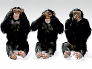 paulbacon4's profile picture. 