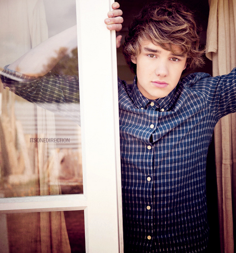 solo un verdadera directioners comprende esto:carrots, spoon, vas happenin?, curls, clover nialler the world? curls{Hazza}