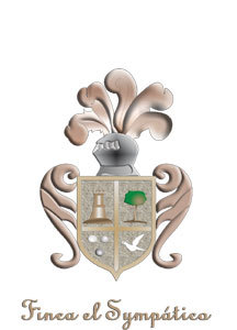 FincaSympatico's profile picture. Finca el Symaptico - Sozial Wineprojekt of Mallorca. We started in two weeks with Crowdfunding. Please support us..
As a thank you: 10 years wine for you.