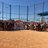 GINWSoftball's profile image