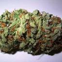 Phil Mann - @Killa_Peedo - Twitter