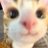 funassynaru's profile image