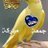 sadc2mb5y's profile image