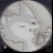 m__ei1's profile image