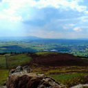 Sally Chadwick - @sallylc - Twitter