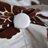 TenementCurtain's profile image