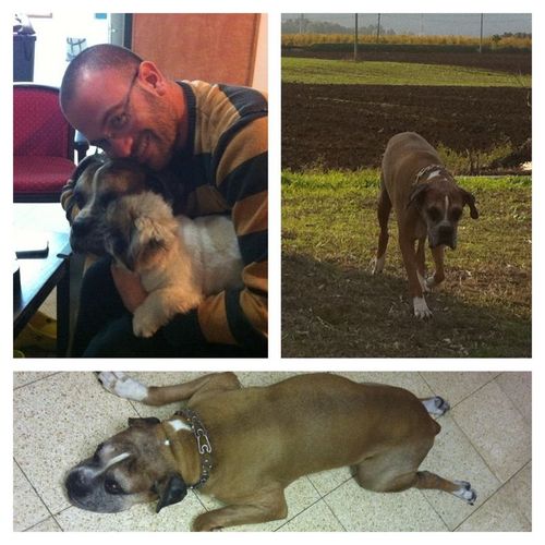 tiranmass's profile picture. 