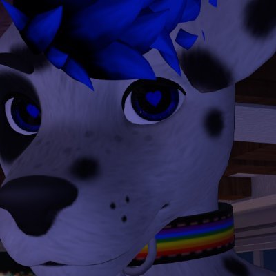 Hi, I'm looking to meet new people and find furry friends. VRCHAT : Mr_kim 
:gay
:25
 telegram - PinkwolfShark
my favorite wolf cub 👉 https://t.co/9hwveBEdYF