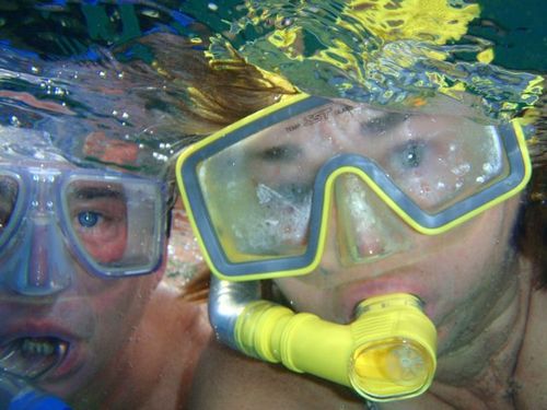 nanawendy12's profile picture. 