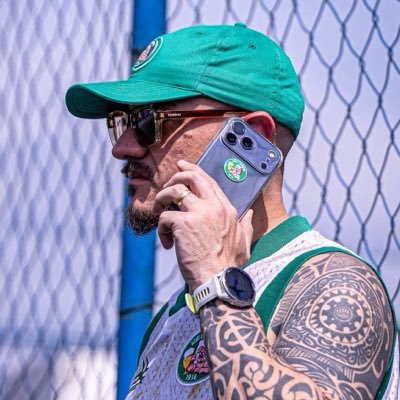 Aqui é @Palmeiras de arquibancada 🐷👊🏻 somos mais de 210 mil no https://t.co/tInRjWHIGQ e mais de 160 mil no insta…