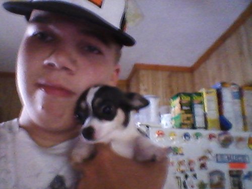 Potts69Steven's profile picture. hey my named is Steven Potts I start like twitter. I love my family and my dog