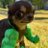 Jordan616xxxx's profile image