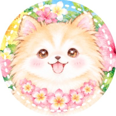 ポメチワとハワイ暮らし┆🦊サンディ(父)ポメ┆🐻‍❄️エンジェル(母)チワワ┆🐻‍❄️オスカー(兄)┆🐻‍❄️アメリア(姉)┆🐻‍❄️セシリア(妹)┆👮🏻飼い主(人)