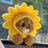 kannsorn00's profile image