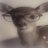 laursonfilm's profile image