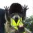 SousOmerta's profile image