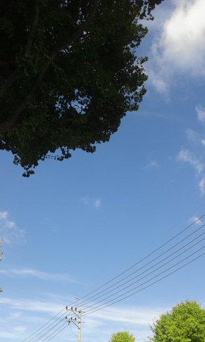 pol3614's profile picture. 