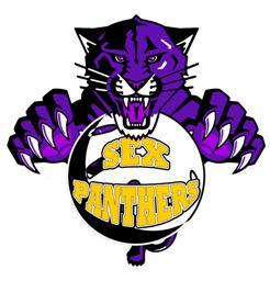 PANTERASdeSEXO's profile picture. the best team to never make the playoffs.