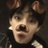 kattddev's profile image