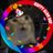Nivalkyriana's profile image