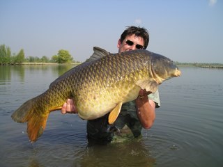 vervaeck2000's profile picture. 