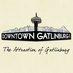 Downtown Gatlinburg (@dtgatlinburg) Twitter profile photo