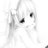 K1ssoe's profile image