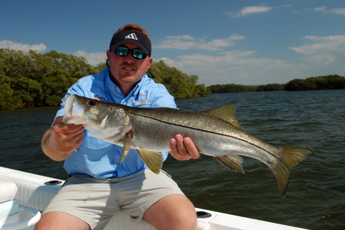 Im a native to Tampa Bay. I grew up fishing the waters and have been a full time guide since 2004. Come book a trip and see what the fin is all about..