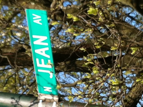 goldie100's profile picture. 